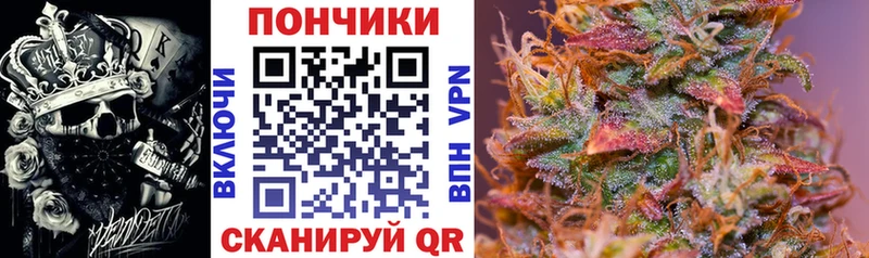 купить наркоту  Кореновск  Конопля Bruce Banner 
